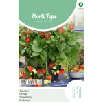 Fashion Horti Tops Aardbeien Ruby Ann Hangaardbei