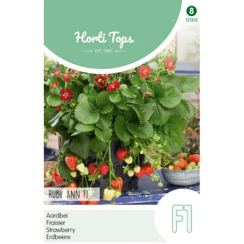 Fashion Horti Tops Aardbeien Ruby Ann Hangaardbei