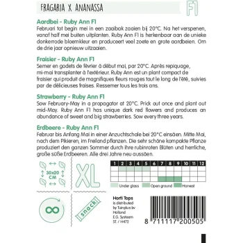 Fashion Horti Tops Aardbeien Ruby Ann Hangaardbei