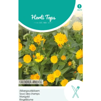 Sale Horti Tops Akkergoudsbloem