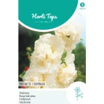 Online Horti Tops Alcea Majorette Champagne (Stokroos) Zaad
