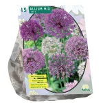 allium-mix-paars-wit-per-15-ajcmzuvX-0.webp