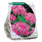 Clearance Baltus Allium Roseum Per 100