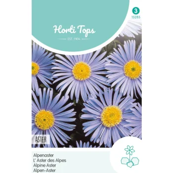 Fashion Horti Tops Alpenaster Lichtblauw