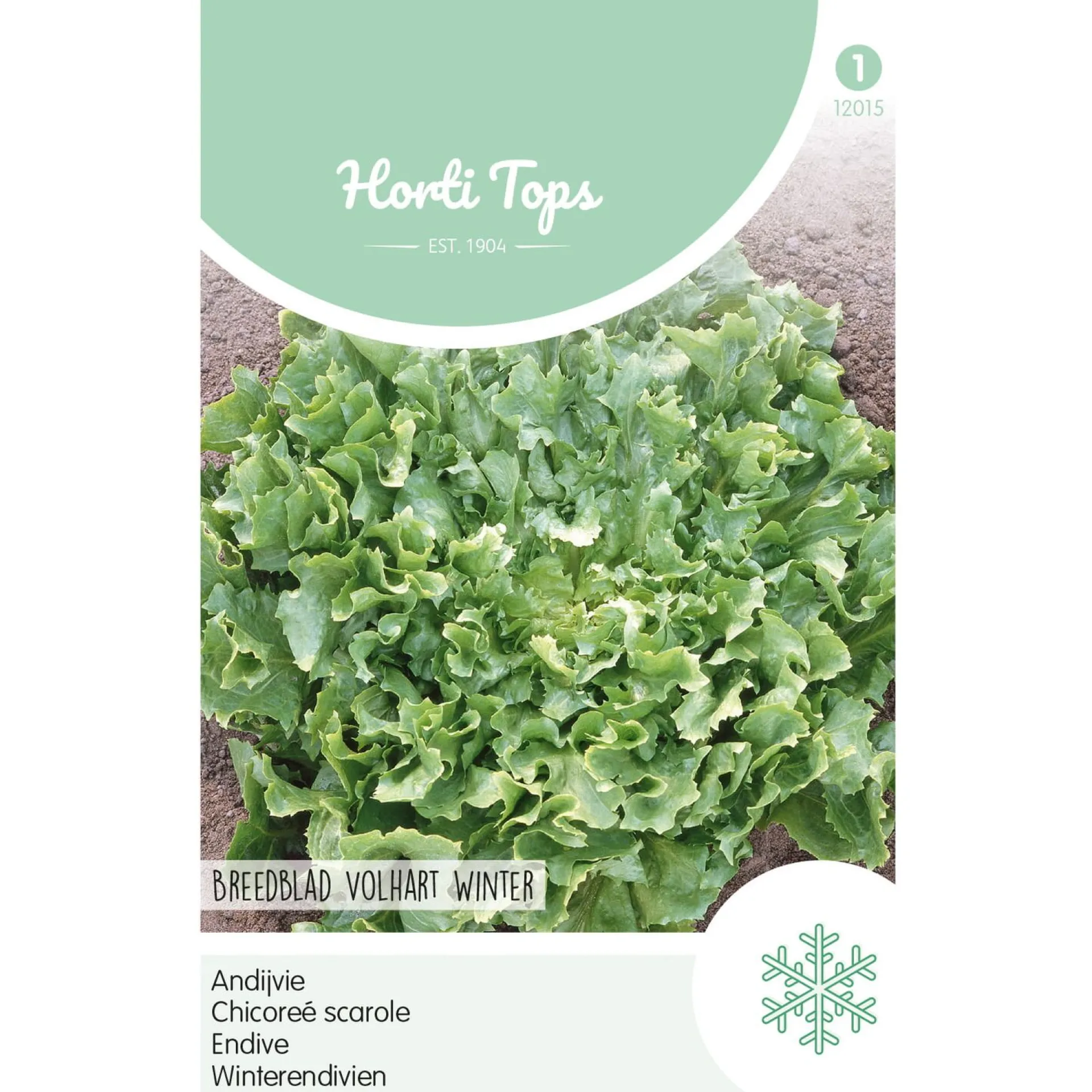 andijvie-breedblad-volhart-win-BDcyuuGo-0.webp Outlet Horti Tops Andijvie Breedblad Volhart Winter