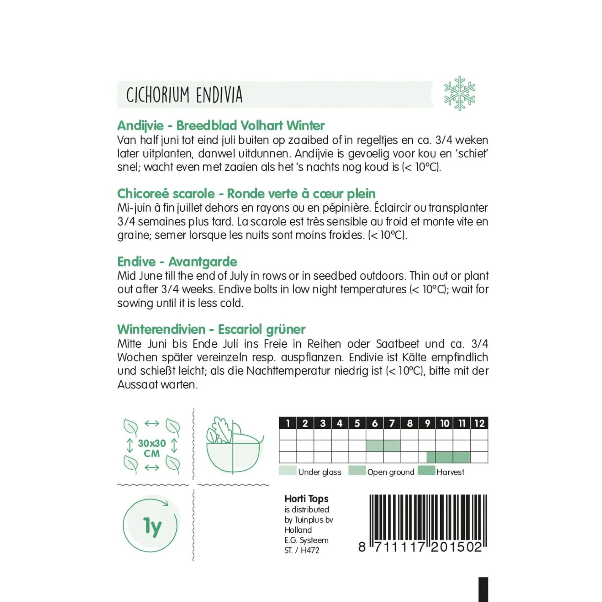 andijvie-breedblad-volhart-win-BDcyuuGo-1.webp Outlet Horti Tops Andijvie Breedblad Volhart Winter