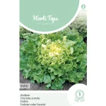 Sale Horti Tops Andijvie Nuance