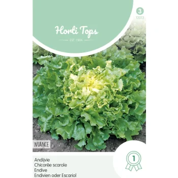 Sale Horti Tops Andijvie Nuance