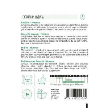 Sale Horti Tops Andijvie Nuance