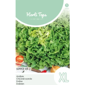 New Horti Tops Andijvie Nummer Vijf