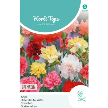 Clearance Horti Tops Anjer Grenadin Mix