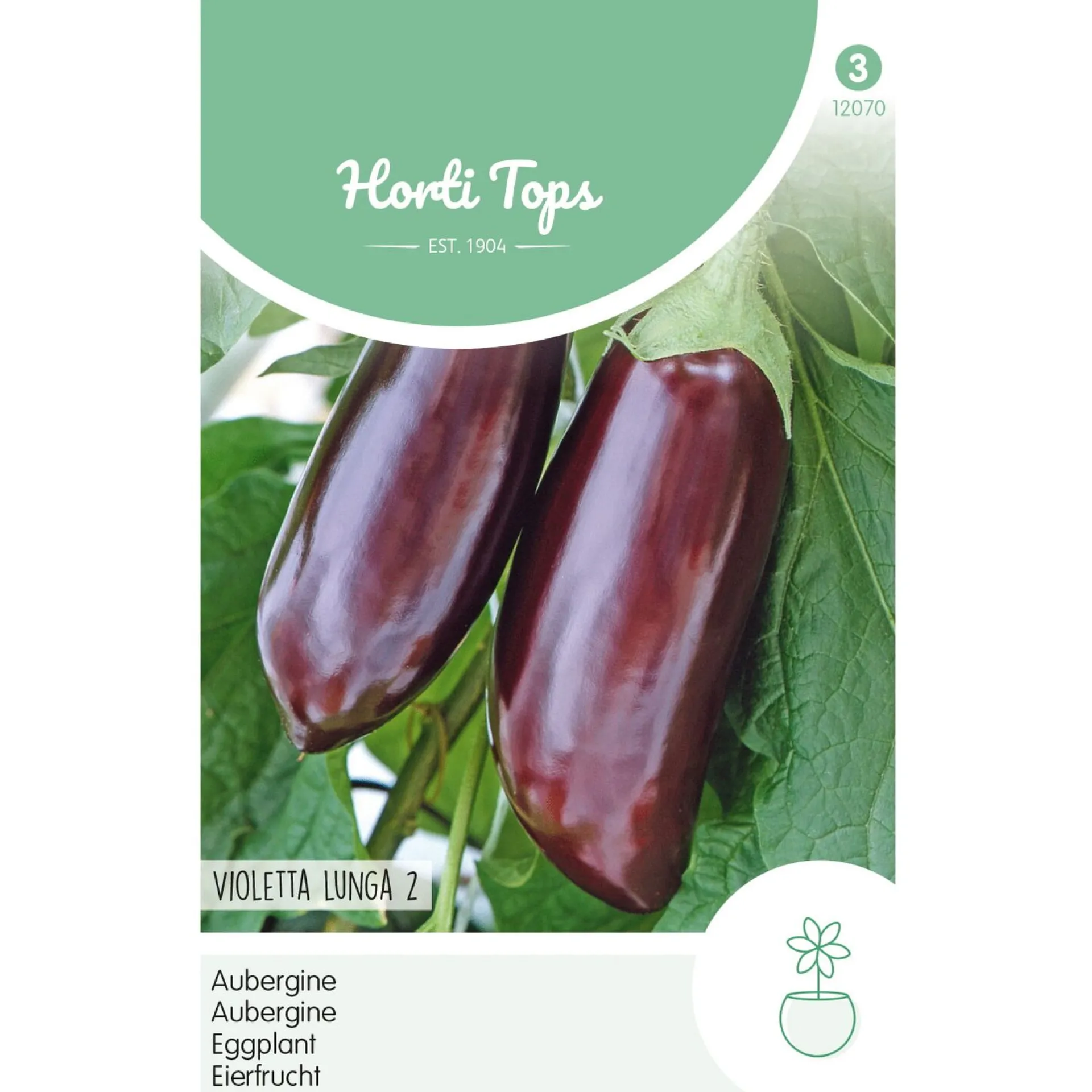 aubergine-violetta-lunga-2-qXEVjBUV-0.webp Outlet Horti Tops Aubergine Violetta Lunga 2