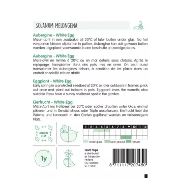 Clearance Horti Tops Aubergine White Eggs