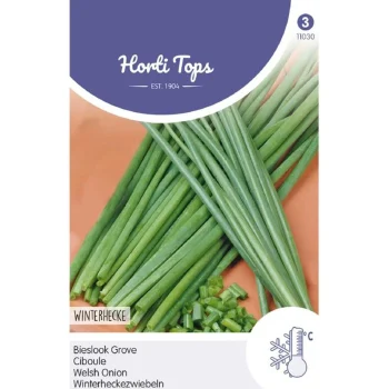 Outlet Horti Tops Bieslook Grove, Zaad