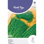Sale Horti Tops Bieslook Prager Zaad
