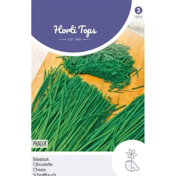 Sale Horti Tops Bieslook Prager Zaad