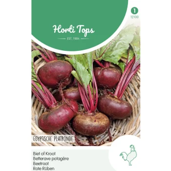 Hot Horti Tops Bieten Egyptische Platronde