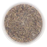 Best Smulti Black Soldier Flies 3L