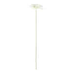 bloem-gerbera-wit-55-cm-LkqyAYwu-0.webp