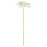 bloem-gerbera-wit-55-cm-LkqyAYwu-0.webp