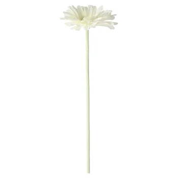 Sale Bloem Gerbera Wit 55 Cm