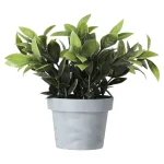 New Bloem In Pot 28 Cm Diverse Assorti