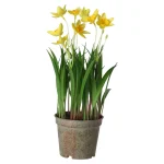 Outlet Mica Decorations Bloem Narcis Geel 26 Cm