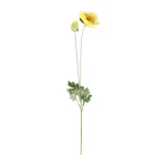 Best Bloem Poppy Geel 60 Cm