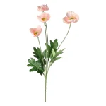 bloem-poppy-roze-59-cm-RDtYSQlk-0.webp