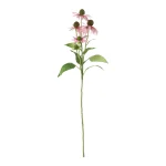 bloem-rudbeckia-lila-73-cm-ZouwOiuo-0.webp