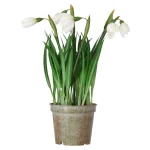 Hot Mica Decorations Bloem Sneeuwklokje 24 Cm