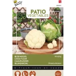 Online Buzzy Bloemkool Amazing