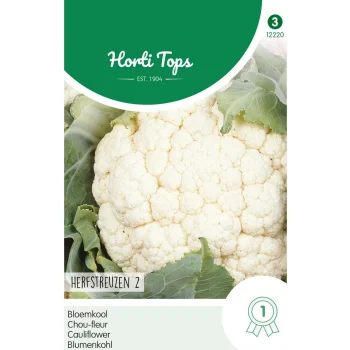 Discount Horti Tops Bloemkool Herfstreuzen 2