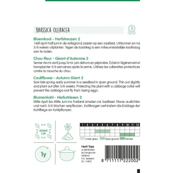 Discount Horti Tops Bloemkool Herfstreuzen 2