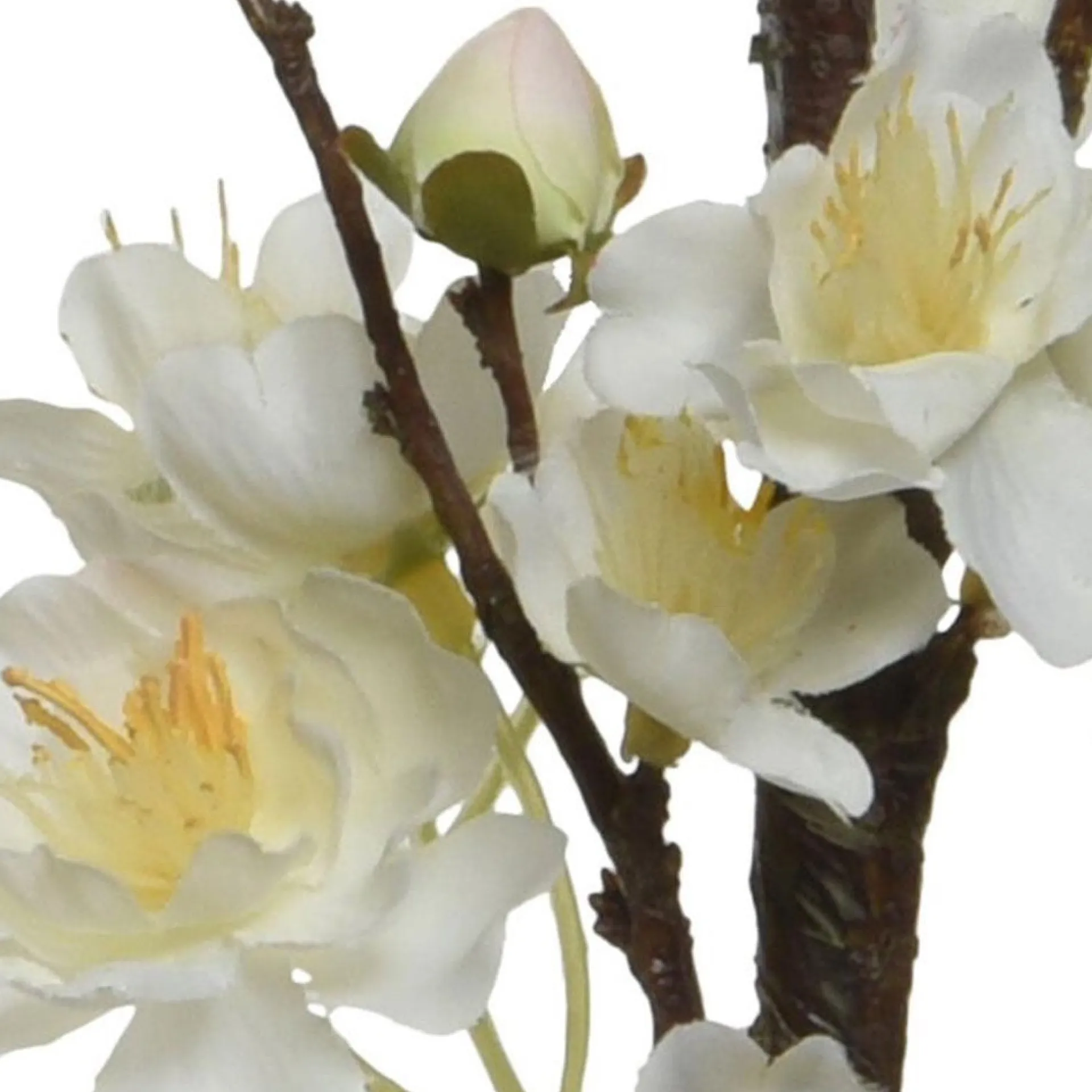 bloesem-wit-106-cm-FSjCCcgS-1.webp Hot Decoris Bloesem Wit 106 Cm