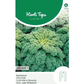 Sale Horti Tops Boerenkool Winterbor F1