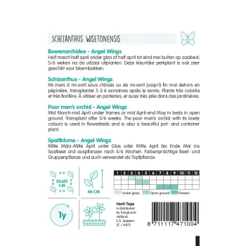 Fashion Horti Tops Boerenochidee Angel Wings