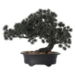 bonsai-in-pot-groen-28-x-15-x-CoEARdNp-0.webp