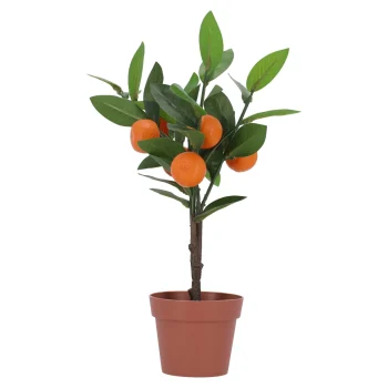 New O'malley Boom Mandarijn 38 Cm