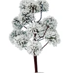 Sale Boom Met Sneeuw