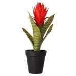 New Bromelia In Pot 32 Cm - 3 Assorti