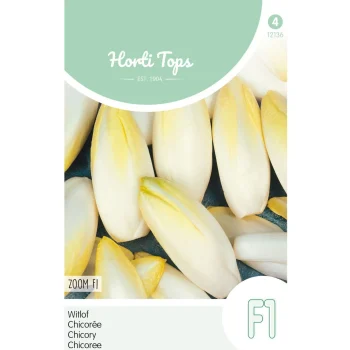 Hot Horti Tops Brussels Witlof Zoom