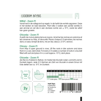 Hot Horti Tops Brussels Witlof Zoom