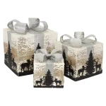 Online Cadeauset LED Bomen Rose Zilver 3-delig