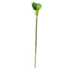Best O'malley Calla Enkel 67 Cm Groen