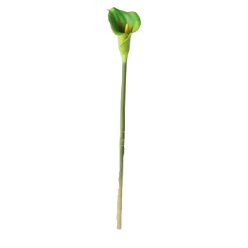 Best O'malley Calla Enkel 67 Cm Groen