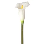 calla-enkel-67-cm-wit-NeieHCUY-0.webp