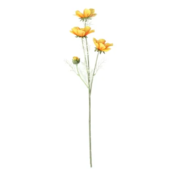 Sale Everlands Calliopsis Geel 64 Cm