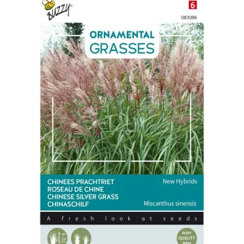 Online Buzzy Chinees Prachtriet