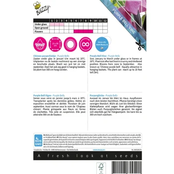 New Buzzy Chinees Purperklokje